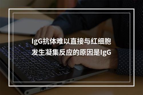 IgG抗体难以直接与红细胞发生凝集反应的原因是IgG