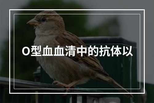 O型血血清中的抗体以