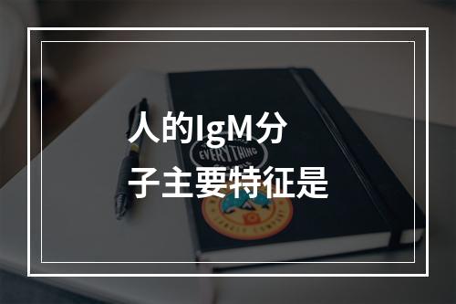 人的IgM分子主要特征是