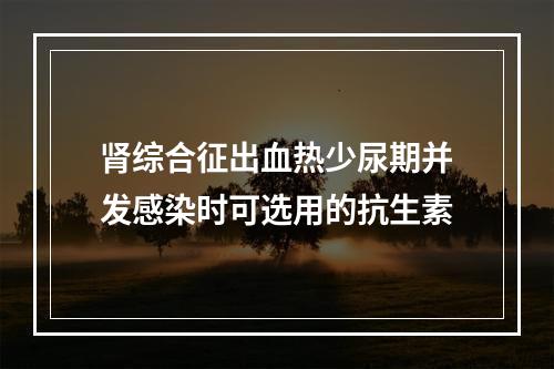 肾综合征出血热少尿期并发感染时可选用的抗生素