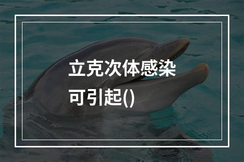 立克次体感染可引起()