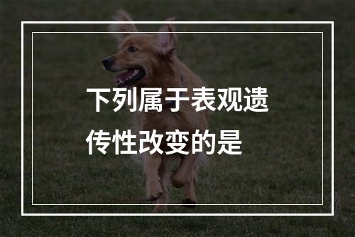 下列属于表观遗传性改变的是