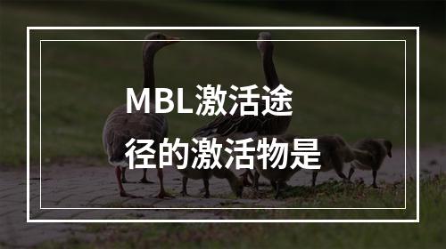 MBL激活途径的激活物是