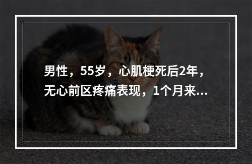 男性，55岁，心肌梗死后2年，无心前区疼痛表现，1个月来反复