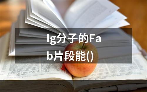 Ig分子的Fab片段能()