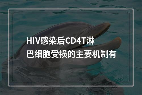 HIV感染后CD4T淋巴细胞受损的主要机制有