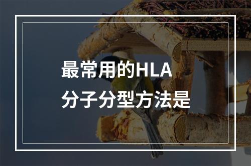 最常用的HLA分子分型方法是