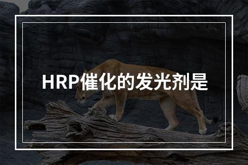 HRP催化的发光剂是