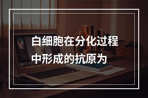 白细胞在分化过程中形成的抗原为