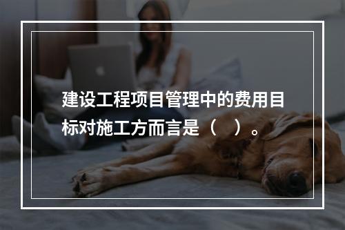 建设工程项目管理中的费用目标对施工方而言是（　）。