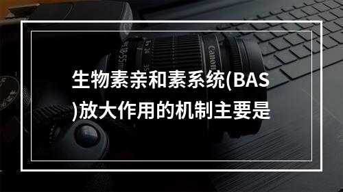 生物素亲和素系统(BAS)放大作用的机制主要是