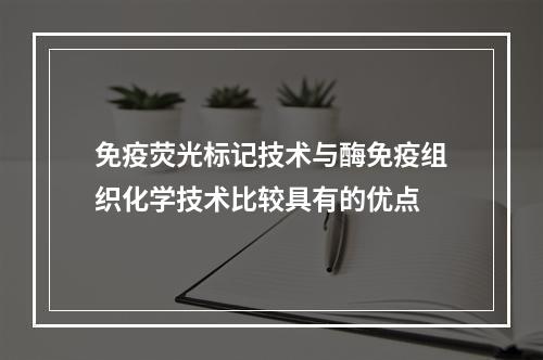 免疫荧光标记技术与酶免疫组织化学技术比较具有的优点