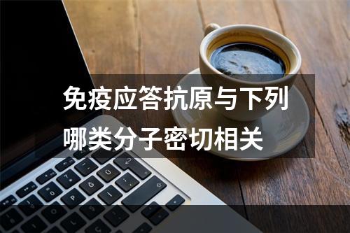 免疫应答抗原与下列哪类分子密切相关