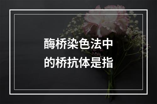 酶桥染色法中的桥抗体是指