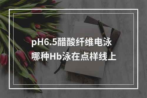 pH6.5醋酸纤维电泳哪种Hb泳在点样线上