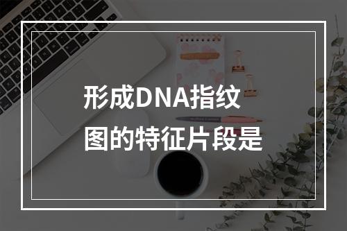 形成DNA指纹图的特征片段是