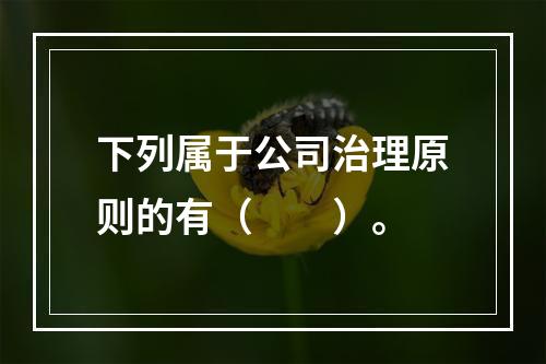 下列属于公司治理原则的有（　　）。