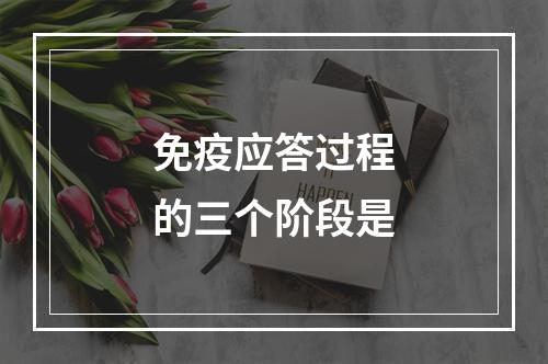 免疫应答过程的三个阶段是