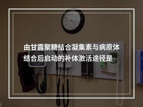 由甘露聚糖结合凝集素与病原体结合后启动的补体激活途径是