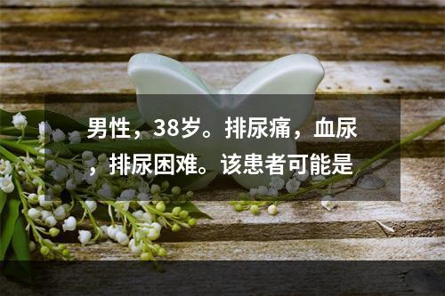 男性，38岁。排尿痛，血尿，排尿困难。该患者可能是