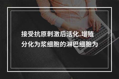 接受抗原刺激后活化.增殖分化为浆细胞的淋巴细胞为