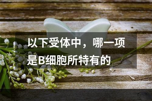 以下受体中，哪一项是B细胞所特有的