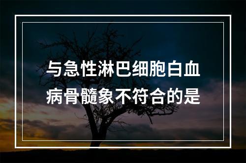 与急性淋巴细胞白血病骨髓象不符合的是