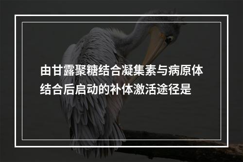 由甘露聚糖结合凝集素与病原体结合后启动的补体激活途径是