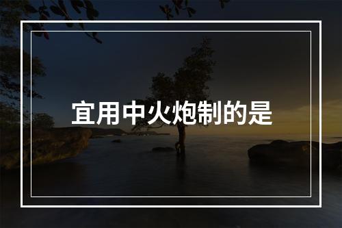 宜用中火炮制的是