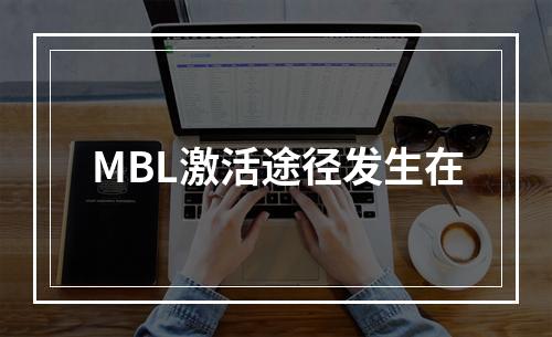 MBL激活途径发生在