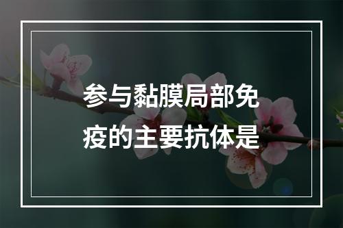 参与黏膜局部免疫的主要抗体是