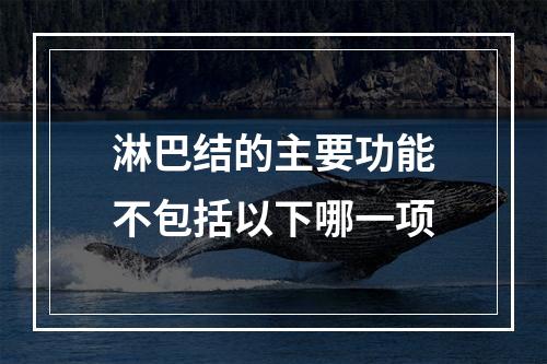 淋巴结的主要功能不包括以下哪一项