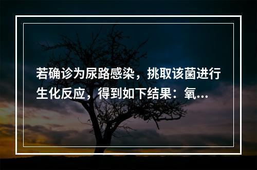 若确诊为尿路感染，挑取该菌进行生化反应，得到如下结果：氧化酶