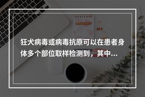 狂犬病毒或病毒抗原可以在患者身体多个部位取样检测到，其中不包