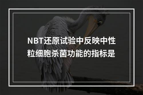 NBT还原试验中反映中性粒细胞杀菌功能的指标是