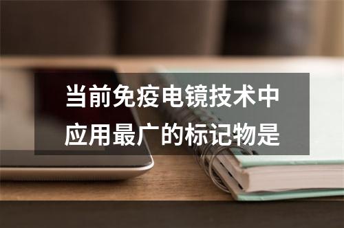 当前免疫电镜技术中应用最广的标记物是