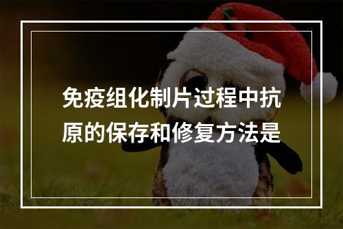 免疫组化制片过程中抗原的保存和修复方法是