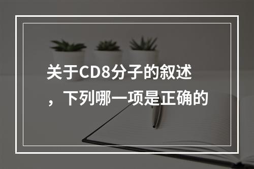 关于CD8分子的叙述，下列哪一项是正确的