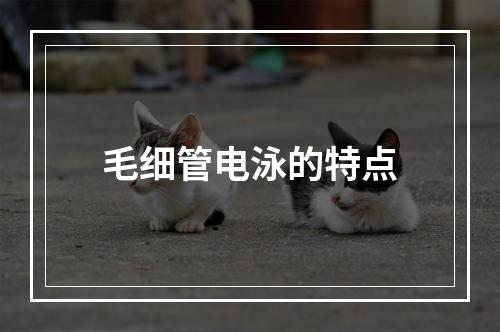 毛细管电泳的特点