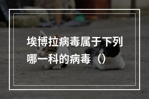 埃博拉病毒属于下列哪一科的病毒（）