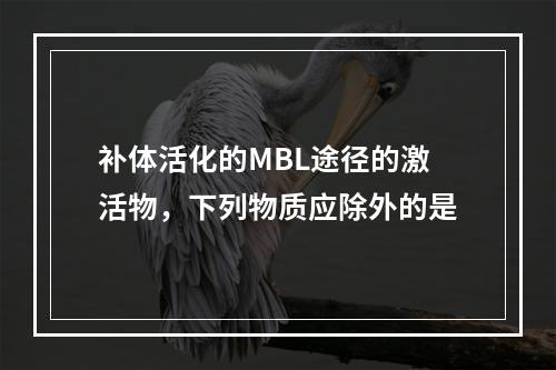 补体活化的MBL途径的激活物，下列物质应除外的是