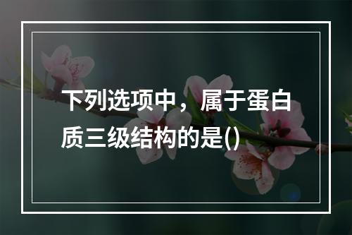 下列选项中，属于蛋白质三级结构的是()