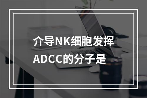 介导NK细胞发挥ADCC的分子是