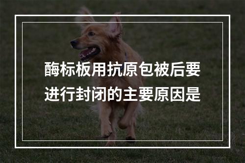 酶标板用抗原包被后要进行封闭的主要原因是