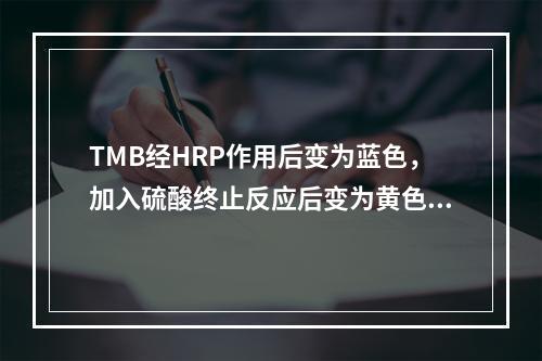 TMB经HRP作用后变为蓝色，加入硫酸终止反应后变为黄色，最