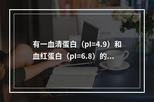 有一血清蛋白（pI=4.9）和血红蛋白（pI=6.8）的混合