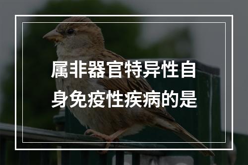 属非器官特异性自身免疫性疾病的是