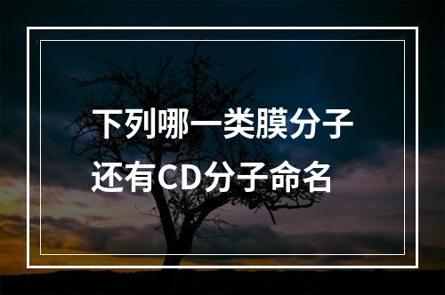 下列哪一类膜分子还有CD分子命名