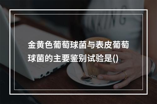 金黄色葡萄球菌与表皮葡萄球菌的主要鉴别试验是()