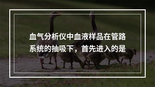 血气分析仪中血液样品在管路系统的抽吸下，首先进入的是